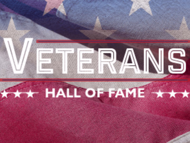 Cover image for 2024 NYS Senate Veterans Hall of Fame Book