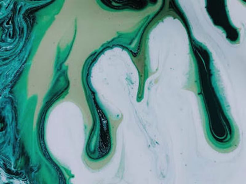 Cover image for Success Story: A New Agency's Journey from Ambition to Impact