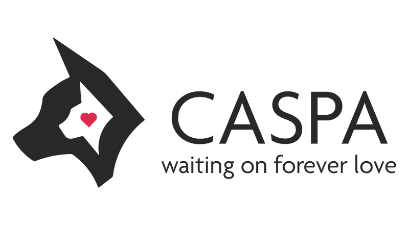 Cover image for Logo Design