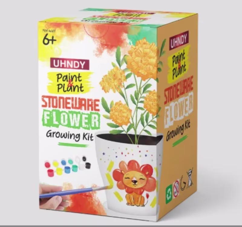 Cover image for Custom Stoneware Flower Growing Kit Packaging Design Kids Paint