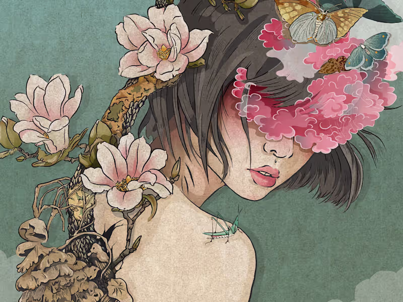 Cover image for Illustration & Visual Assets