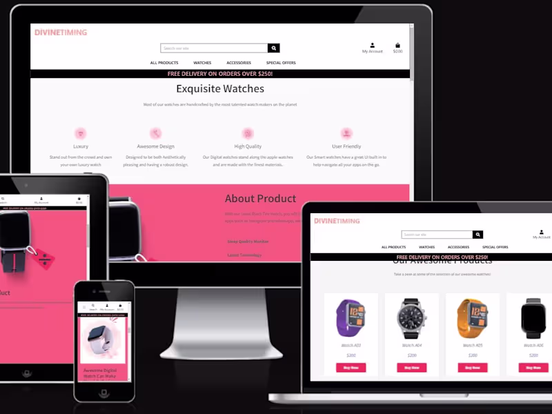 Cover image for Divine Timing - Product Landing Page