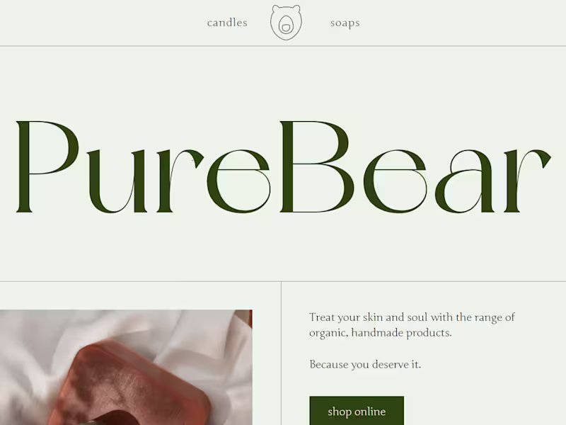 Cover image for PureBear Website