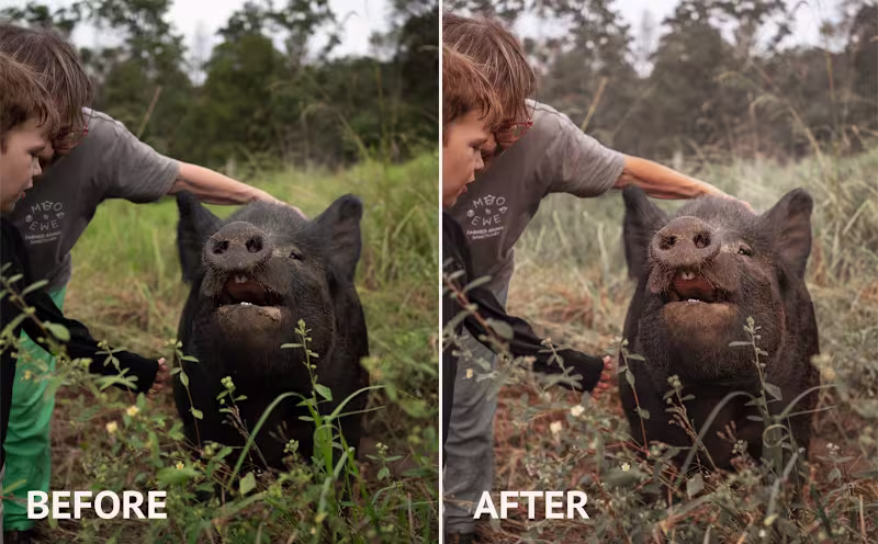 Cover image for Before & After magic, photo