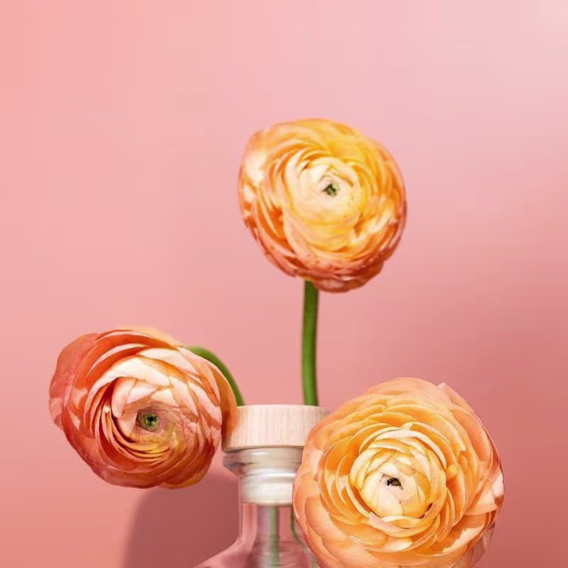 Cover image for Product Photography: Atōst