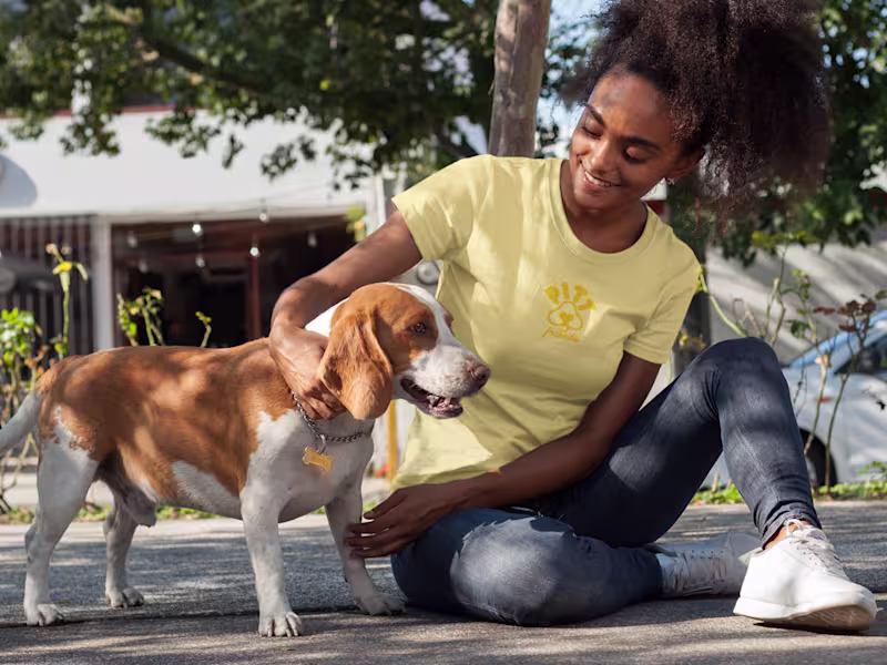 Cover image for Pitt Friends 🐾 Brand Refresh