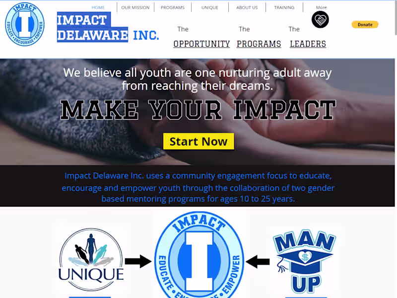 Cover image for Impact Delaware