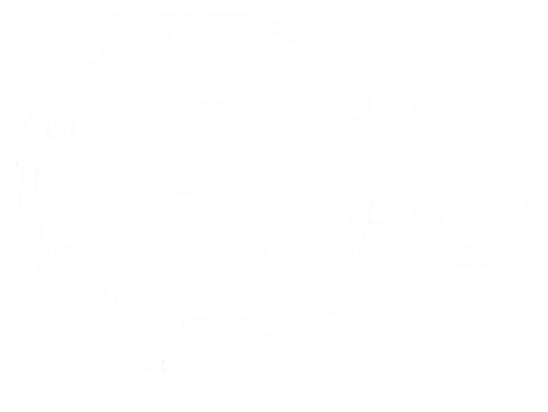 Cover image for Surfsight Developer Portal