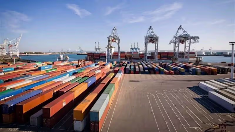Cover image for Freight Documentation & Shipping Advisory
