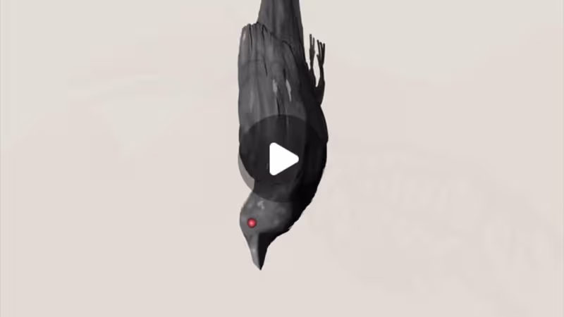 Cover image for Embrace Chaos - Story animation