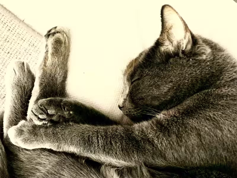 Cover image for Photo Editing