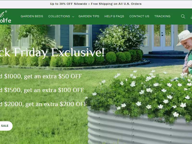Cover image for Building an Interactive E-commerce Website