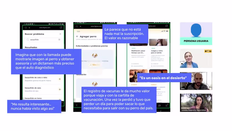 Cover image for AI-Powered Pet Care App UX Validation for Moolli