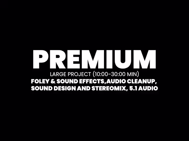 Cover image for PREMIUM-Large Project (10:00-30:00 Min)