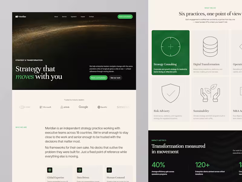 Cover image for Meridian Consulting Company Landing Page Design