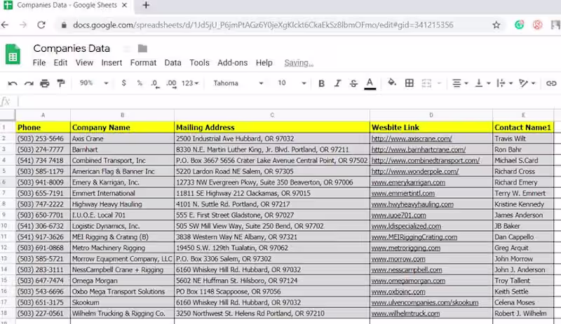 Cover image for Data Entry and Validation Project