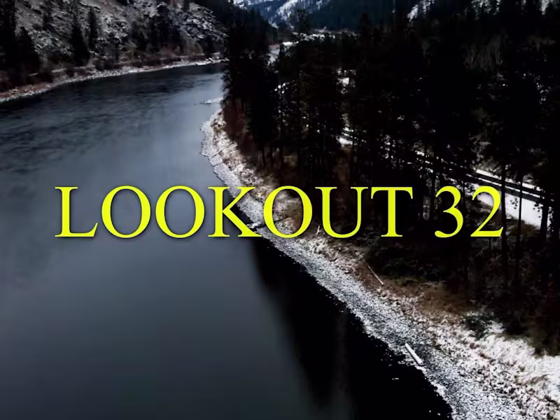 Cover image for Lookout 32
