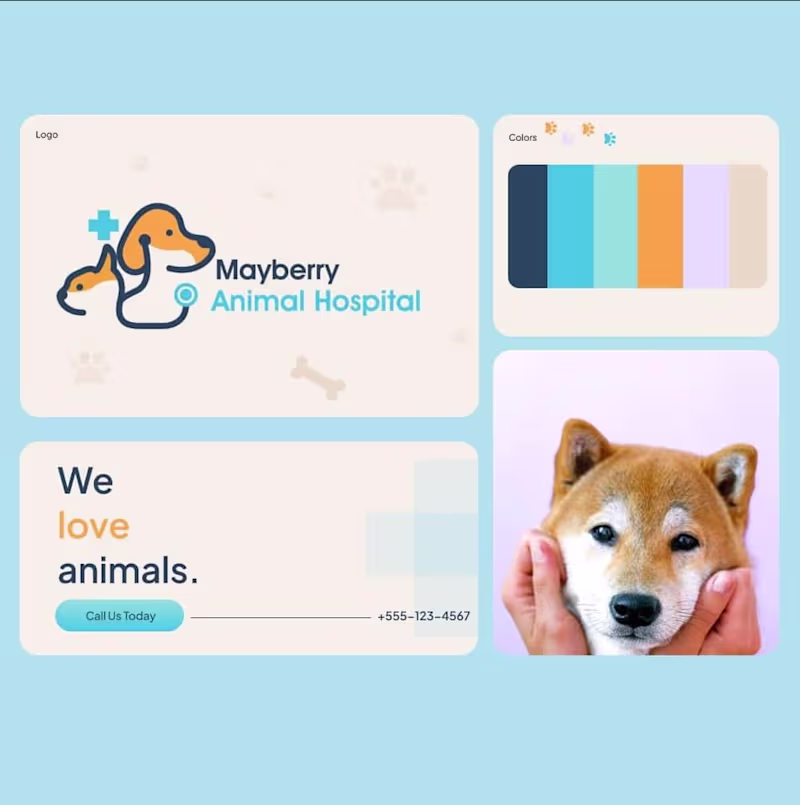 Cover image for Mayberry Animal Hospital [Concept]