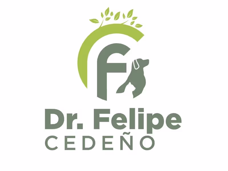 Cover image for Dr. Felipe Cedeño