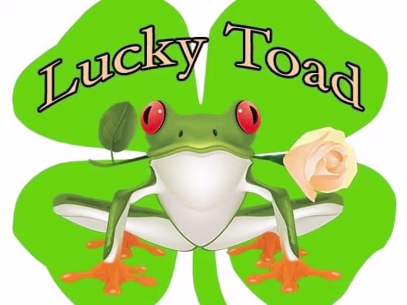 Cover image for The Luckytoad
