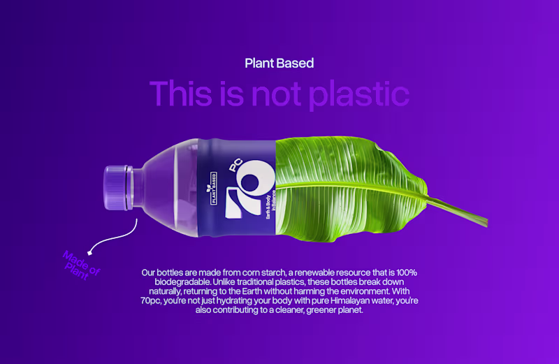 Cover image for A sustainable branding and packaging