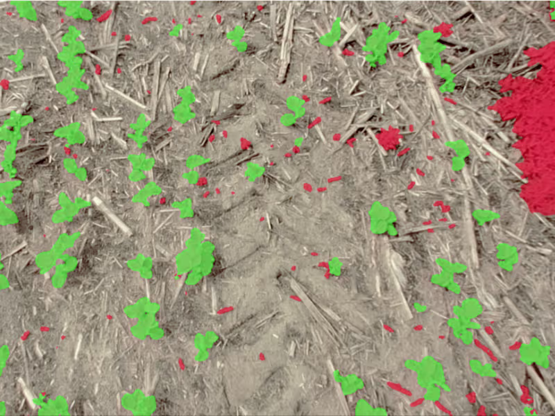 Cover image for Crop/Weed Image Segmentation and Analysis (2022)