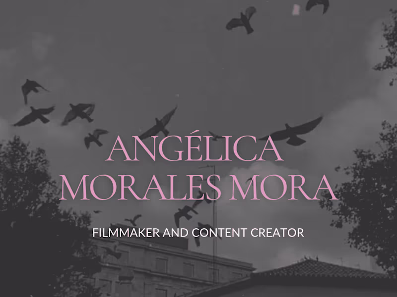 Cover image for CREATIVE PORTFOLIO
