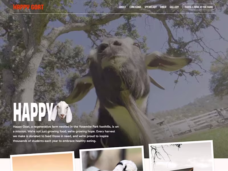 Cover image for Happy Goat Website Design & Build