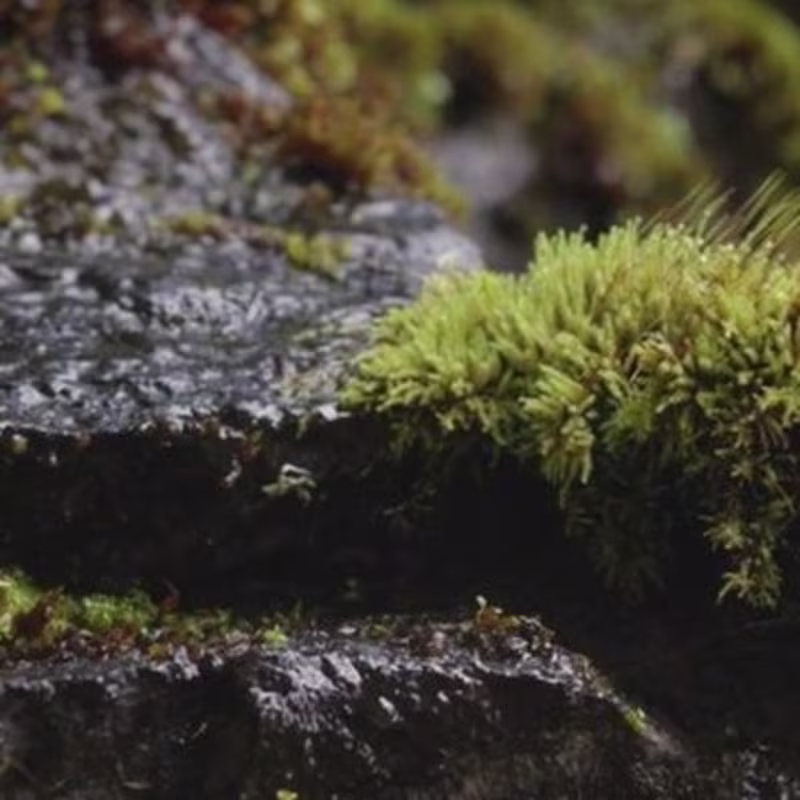 Cover image for Ahsan A. on Instagram: “Commercial Video - Elkali Water Need a …