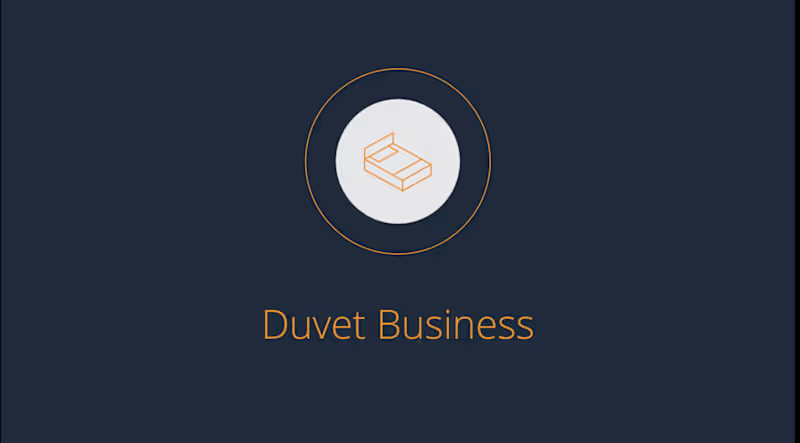Cover image for Created a professional investor pitch