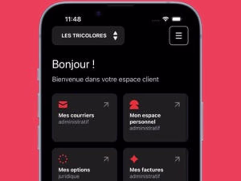 Cover image for Les Tricolores