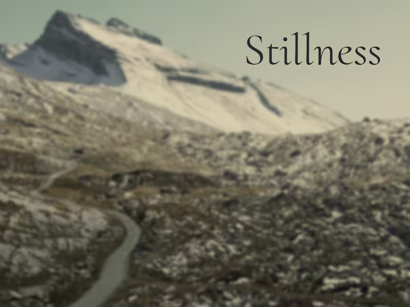 Cover image for Stillness