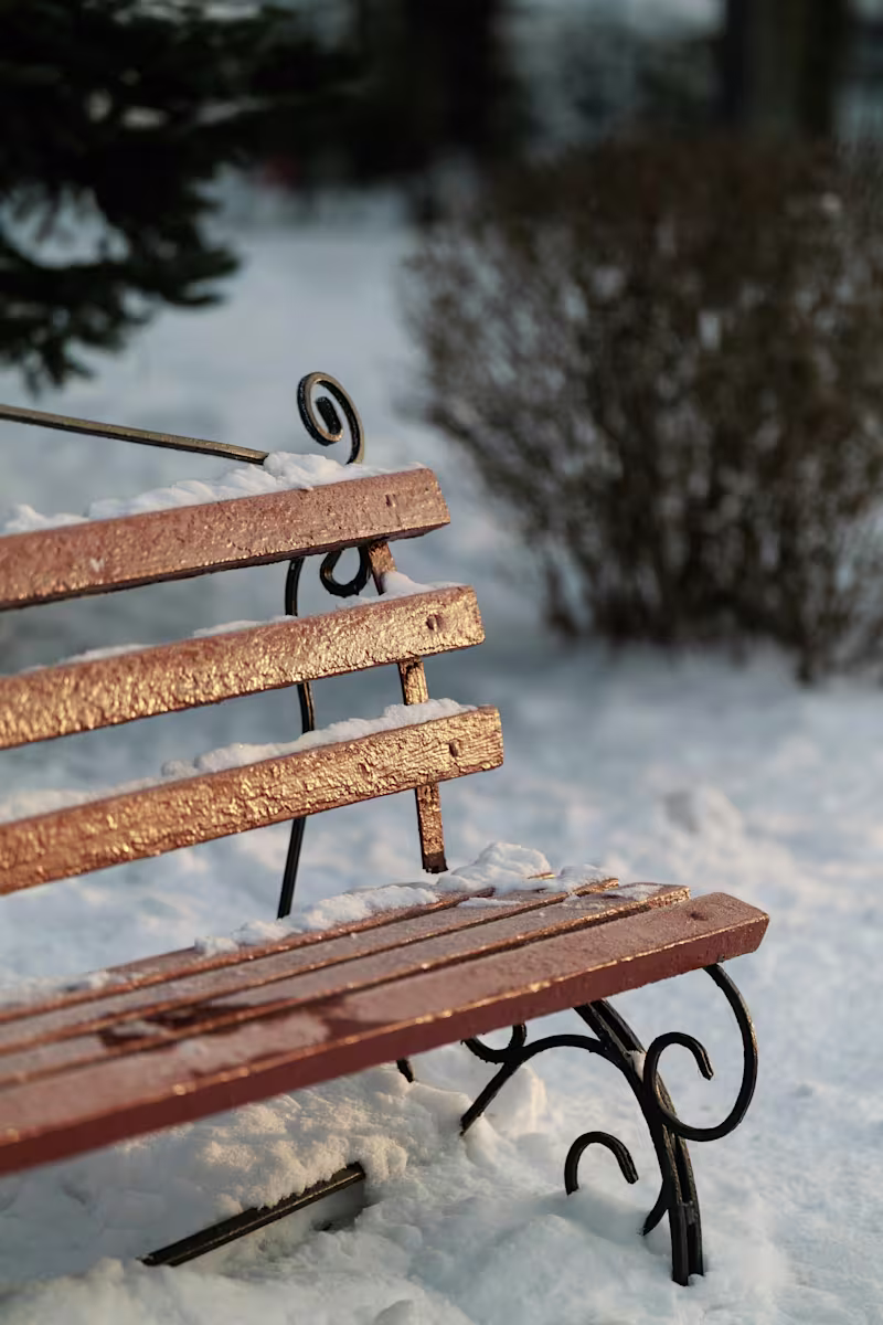 Cover image for Memoir Ghostwriter: The Christmas Bench Miracle