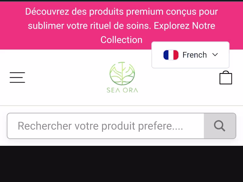 Cover image for Seaora Product Page Development