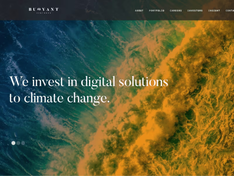Cover image for Buoyant Ventures
