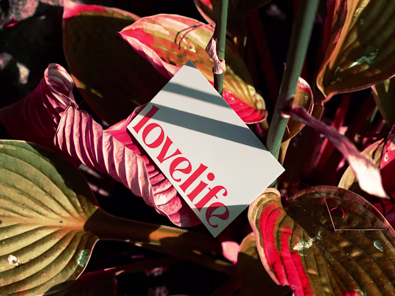 Cover image for Lovelife