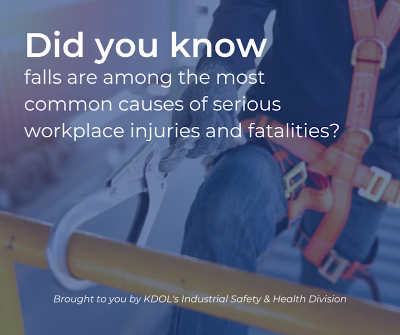 Cover image for Workplace Safety