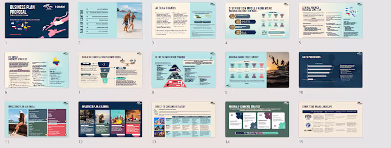 Cover image for OluKai Regional Distribution Business Plan
Developed