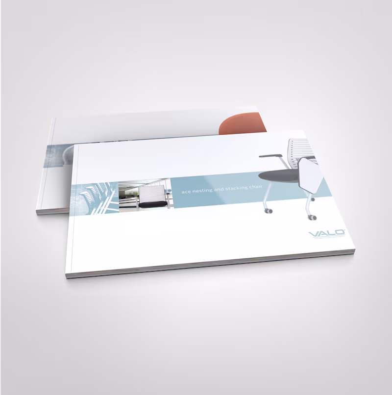 Cover image for Valo Printed Program