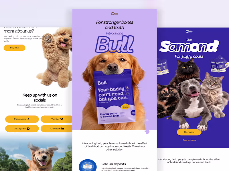 Cover image for Pet Nutrition Product Launch Email 