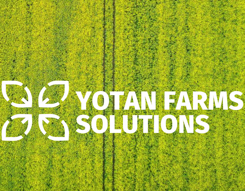 Cover image for Yotan Farms Solutions | Logo Design | Visual Identity