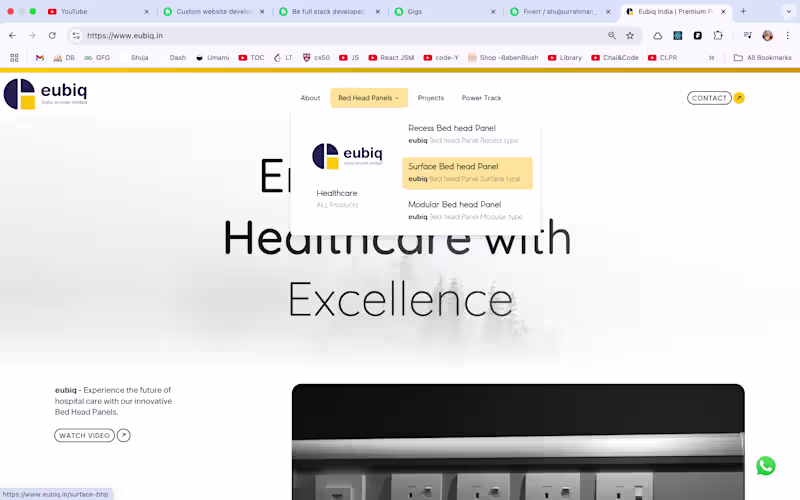Cover image for Eubiq India Website