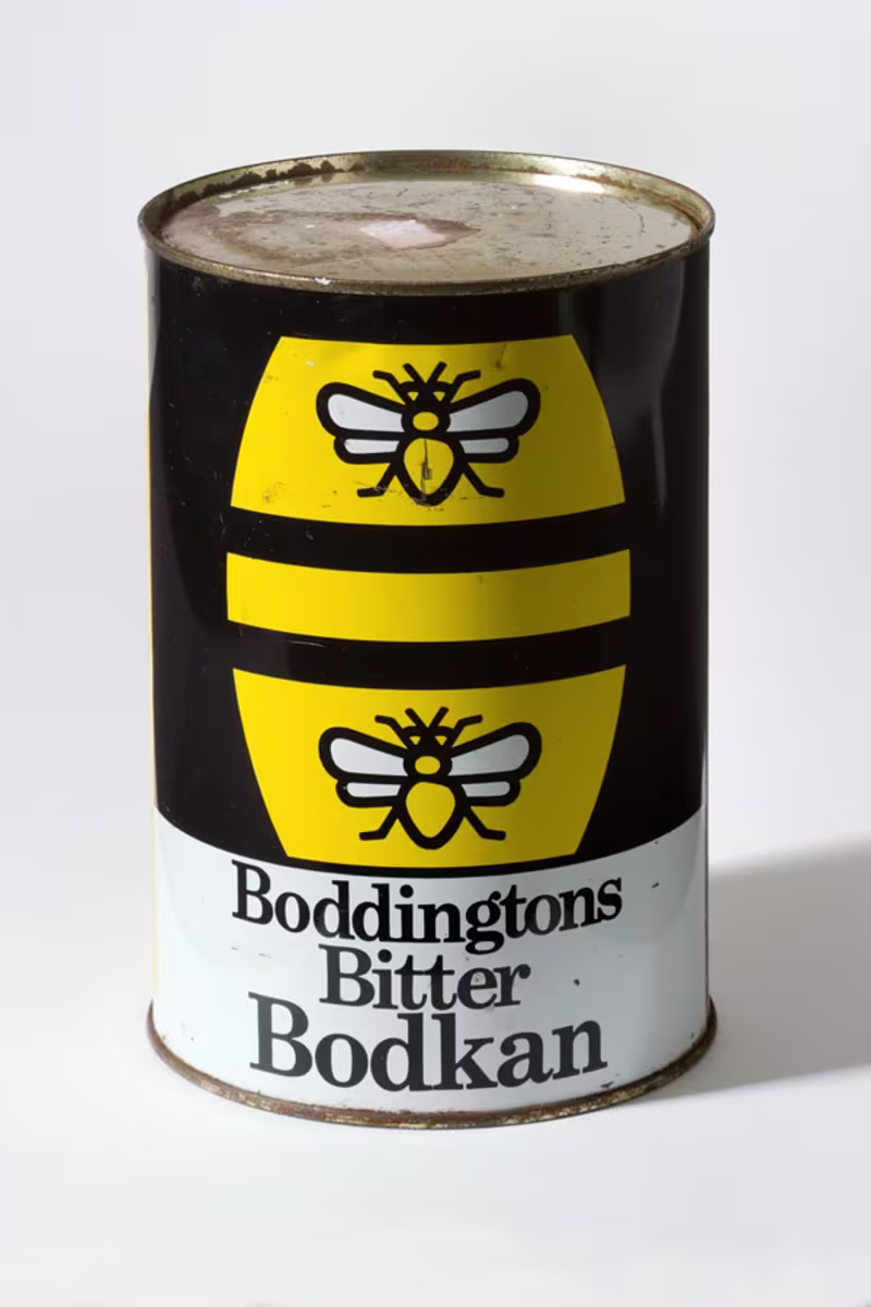 Cover image for Blog Post: How bees have helped change the world
