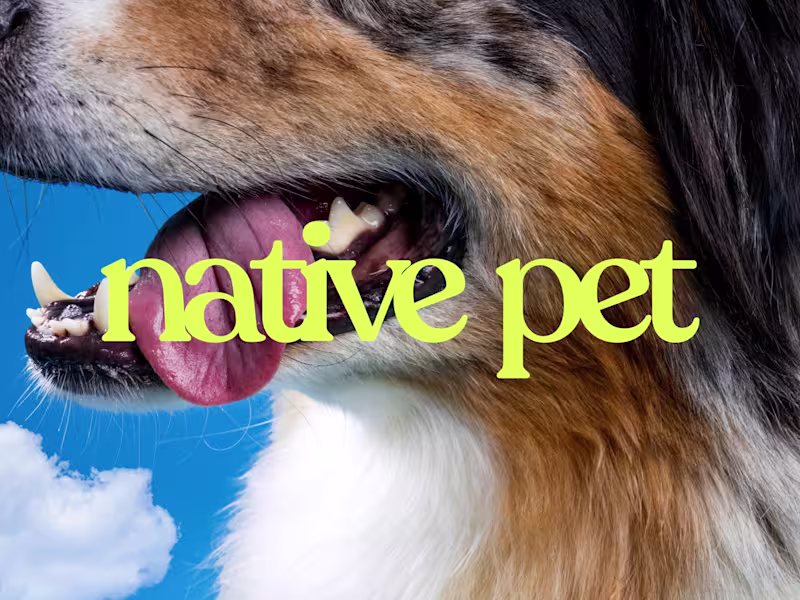 Cover image for High-Converting Pet Supplement Landing Page