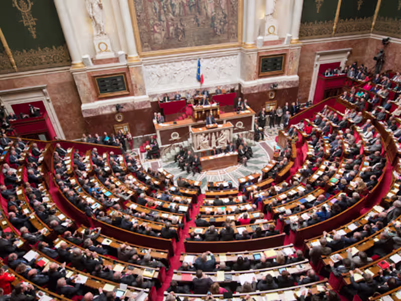 Cover image for Parliamentary Assistant