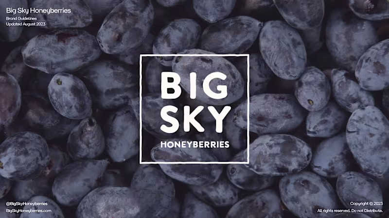 Cover image for Big Sky Honeyberries | Brand Identity and Launch