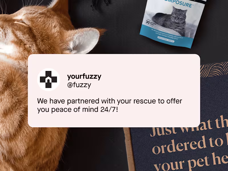 Cover image for Fuzzy Acquisition Campaigns 