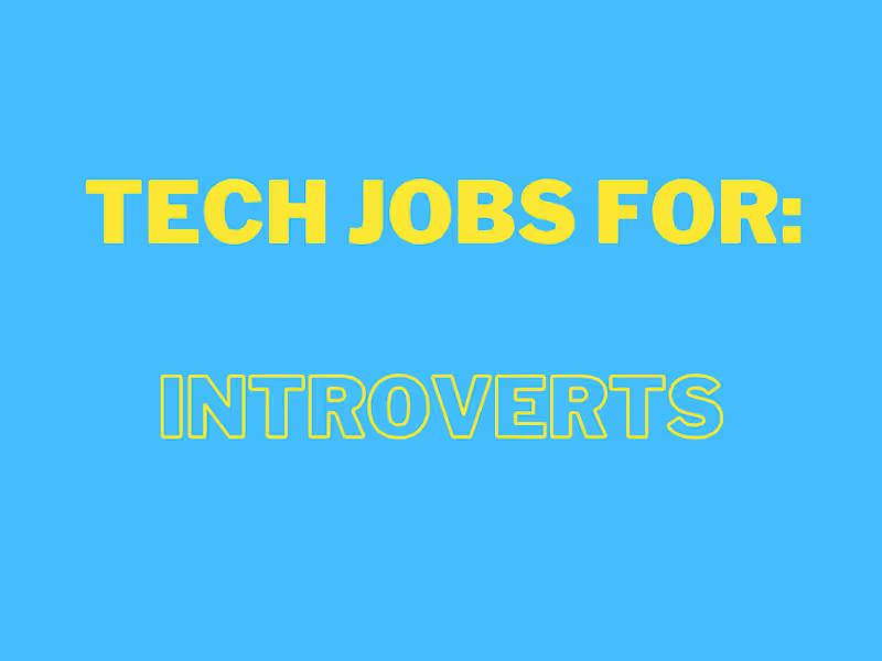 Cover image for Tech Jobs for: Introverts