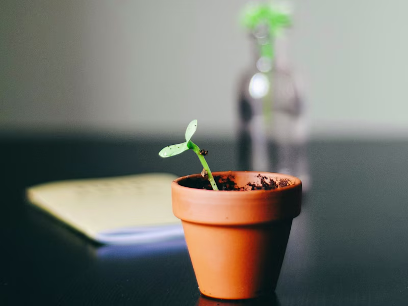 Cover image for Sales Process Implementation for a Sustainability Startup
