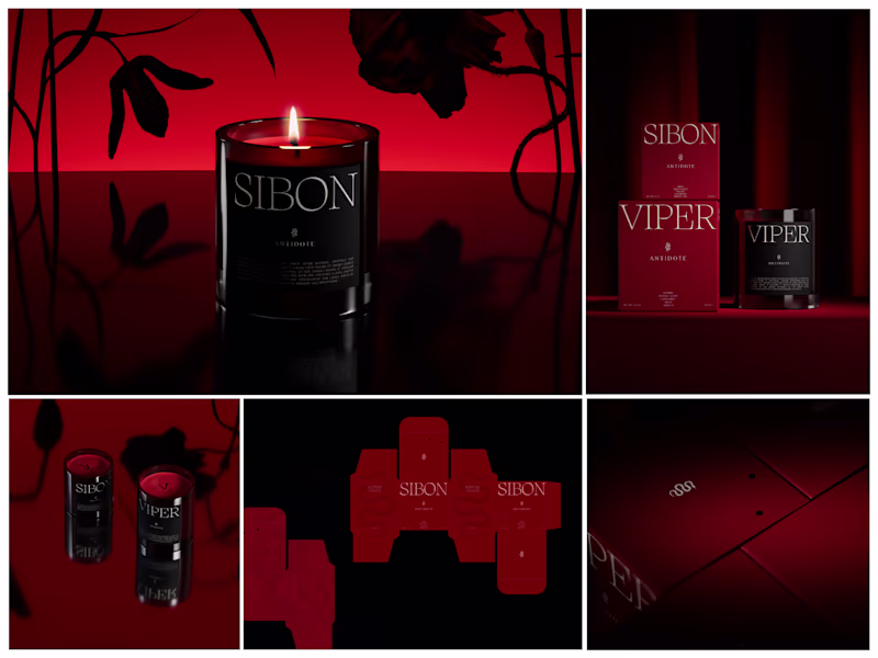 Cover image for Premium Packaging design